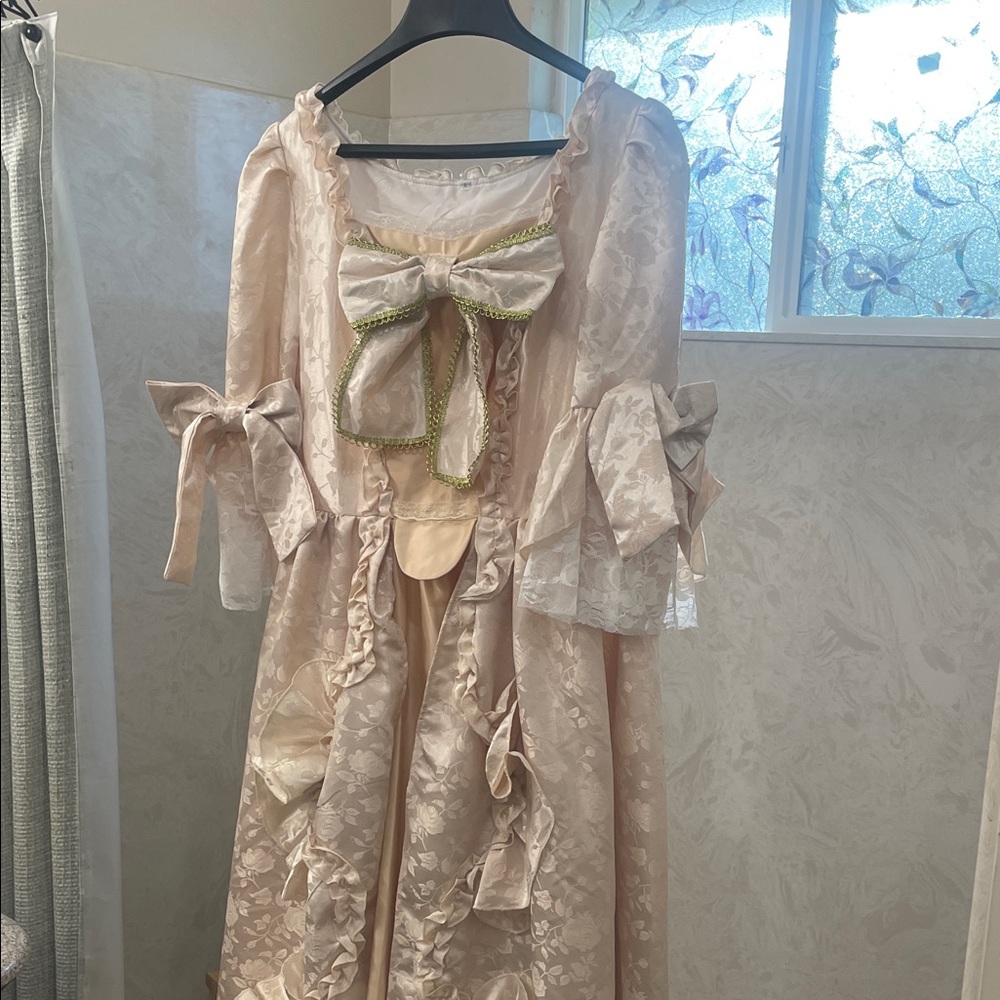 Renaissance gown